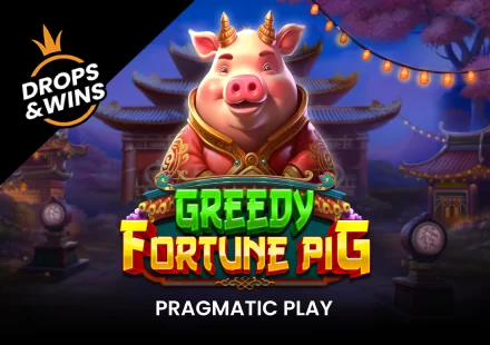 Greedy Fortune Pig